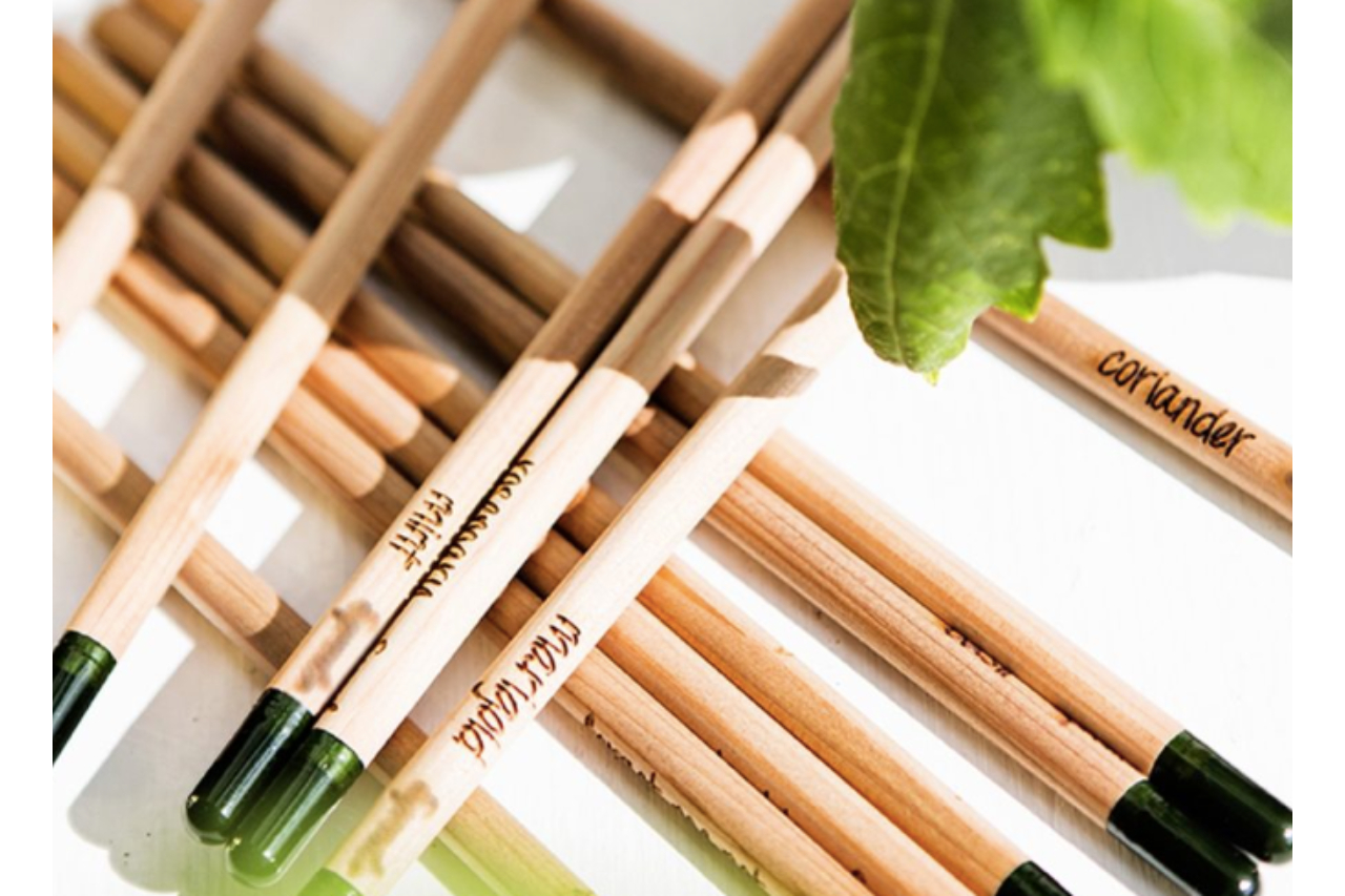 <p>Le matite in legno di Ged Group contengono semi di piante come </p>
<p>margherita e basilico e al termine del loro utilizzo possono essere piantate</p>
